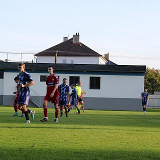 Muži - 1084 