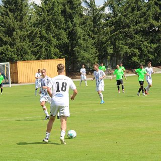 Muži - 1239 